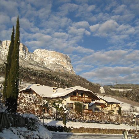 Gfillhof Ferienwohnung 3 Appiano Sulla Strada Del Vino Dış mekan fotoğraf