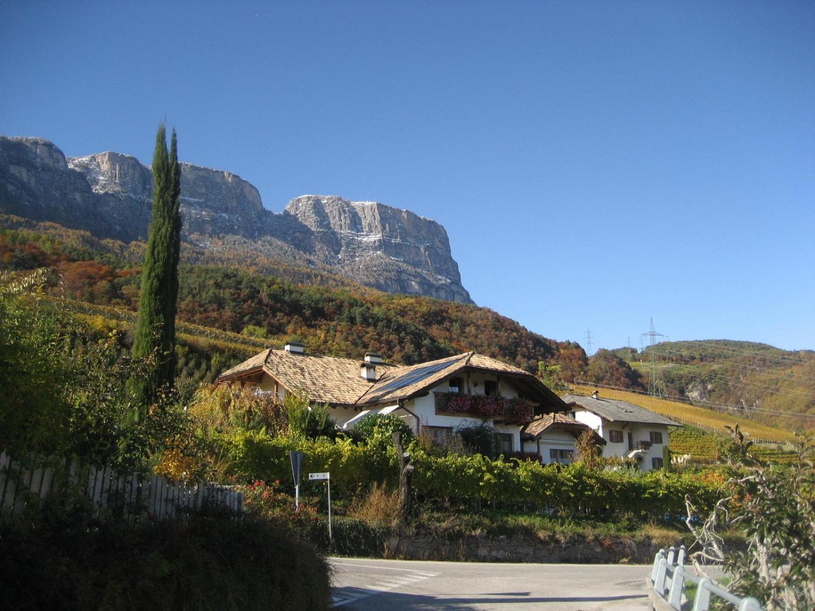 Gfillhof Ferienwohnung 3 Appiano Sulla Strada Del Vino Dış mekan fotoğraf